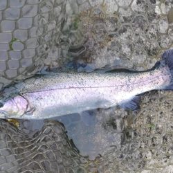 雨の平谷湖フィッシングスポットで爆釣！